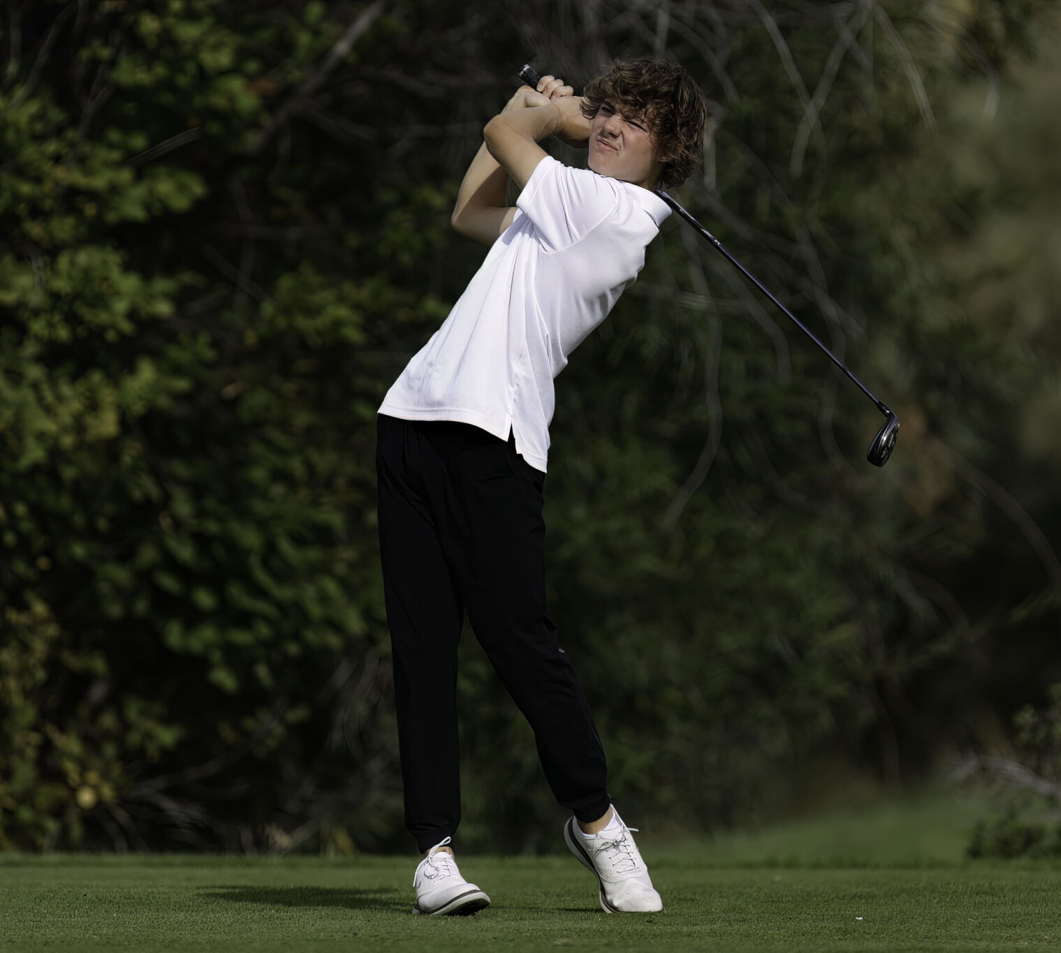 AA Golf Condition